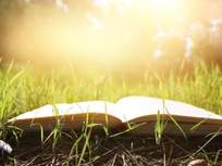 an open book in sunlight